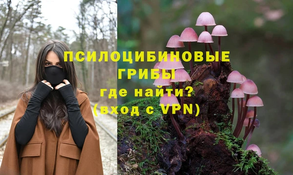 mdpv Арсеньев