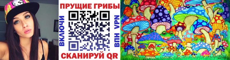 Псилоцибиновые грибы Cubensis Окуловка
